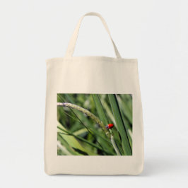 Bolsa de Tote (Coccinellidae)
