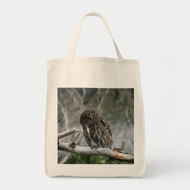 Bolsa De Tote De Búho Pygmy Del Norte (Frente)