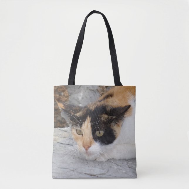 Bolsa De Tote De Gato Centrada (Anverso)