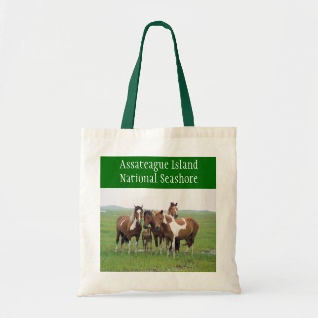 Bolsa de Tote de la isla de Assateague (Frente)