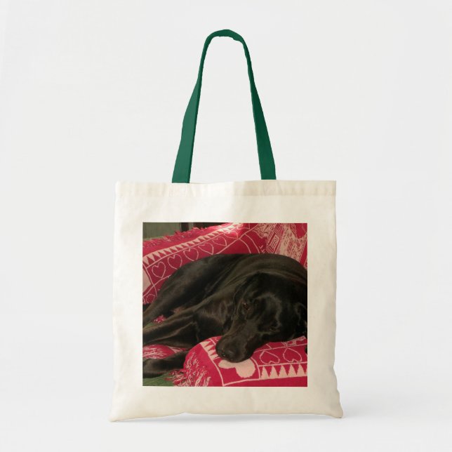Bolsa De Tote De Perro Sueño (Frente)