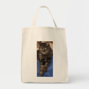 Bolsa de Tote Regal Dave Grocery