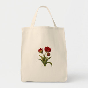 Bolsa de transporte