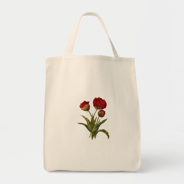 Bolsa de transporte (Frente)