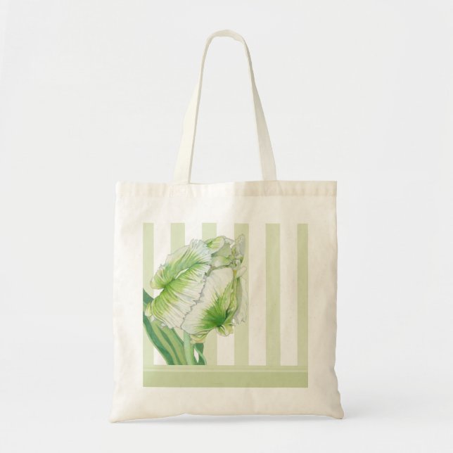 Bolsa de tulipanes de crema verde (Frente)