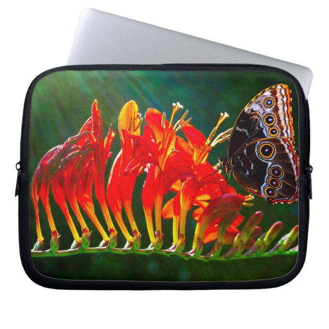 Bolsa electrónica (Frente)