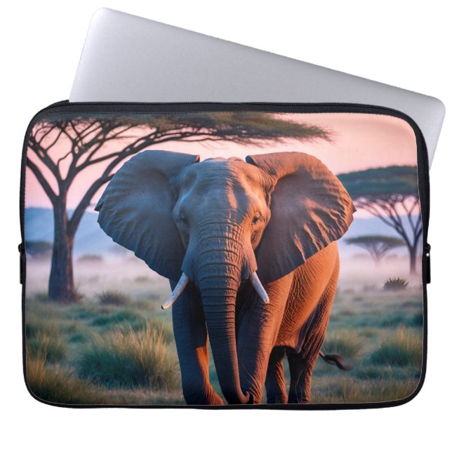 Bolsa electrónica (Frente)