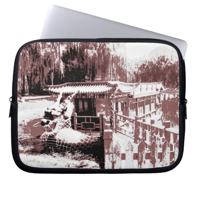 Bolsa electrónica de botes dragones (Frente)