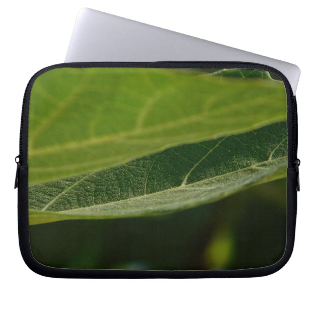 Bolsa electrónica de calm. verde (Frente)