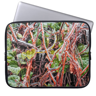 Bolsa Electrónica Lluvia Congelación En Vines De M