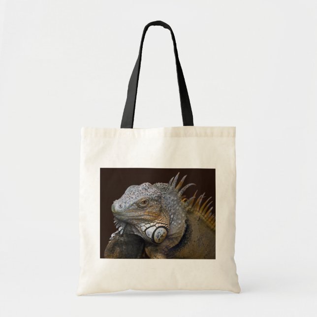 Bolsa Little Dragon (Frente)