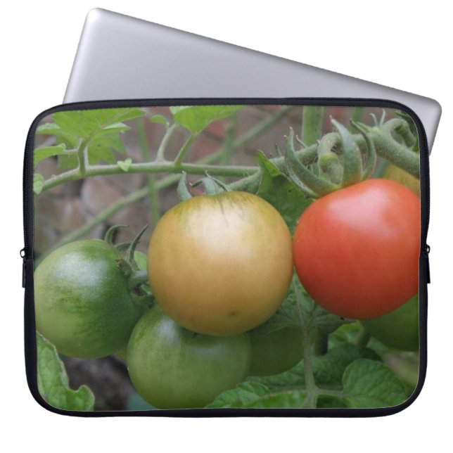 Bolsa para portátiles de tomates ligeros de tráfic (Frente)
