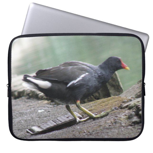 Bolsa para portátiles Moorhen (Frente)
