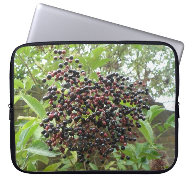 Bolsa para portátiles Ripening Elderberries (Frente)