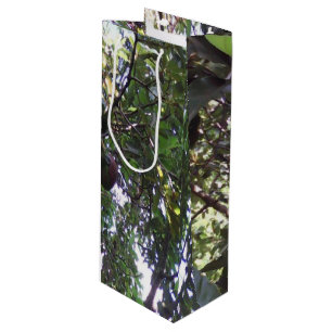 Bolsa Para Vino Árbol de aguacates