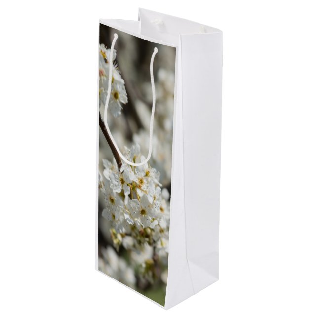 Bolsa Para Vino Bradford Select Focus (Angulo Anverso)