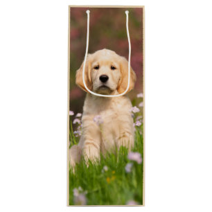 Bolsa Para Vino Foto linda del animal de la cara del perrito del