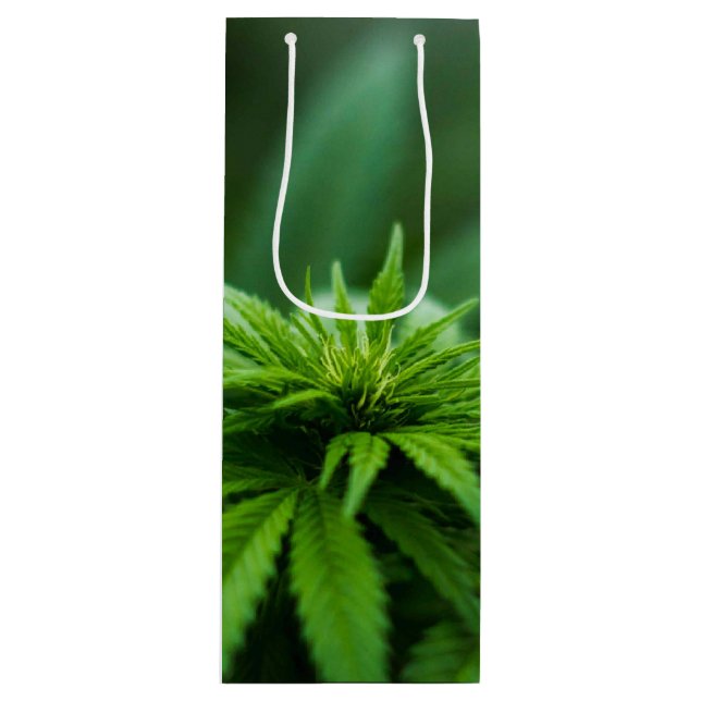 Bolsa Para Vino Hermosa planta de maleza (Anverso)