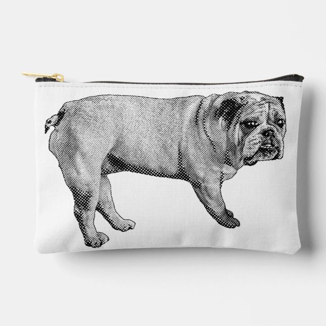 Bolsa postal para el viaje de nieve (Anverso)