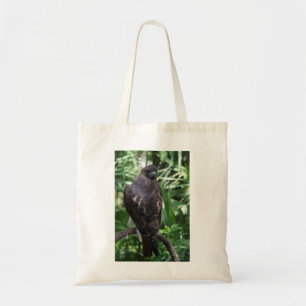 Bolsa Red Tail Hawk