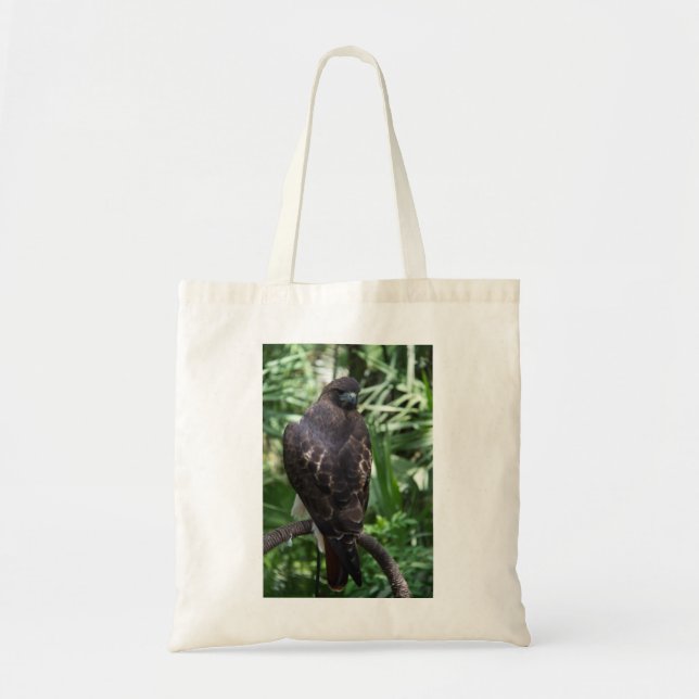 Bolsa Red Tail Hawk (Frente)