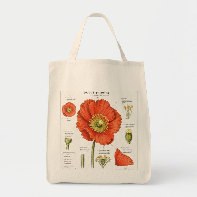 Bolsa tote de ilustración floral botánica   (Frente)