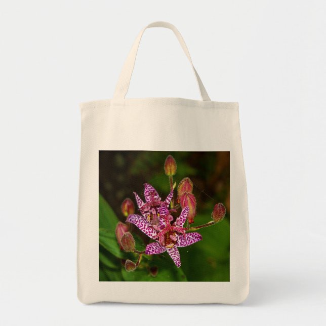 Bolsa Totera de Lirio Sapo de Verano (Frente)