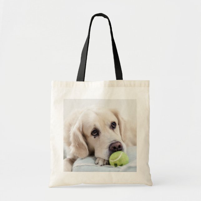 Bolsas de aletas de perro (Frente)