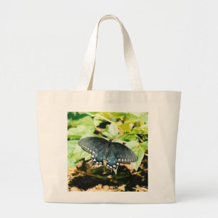 Bolsas de fotos de mariposas Black White Swallowta