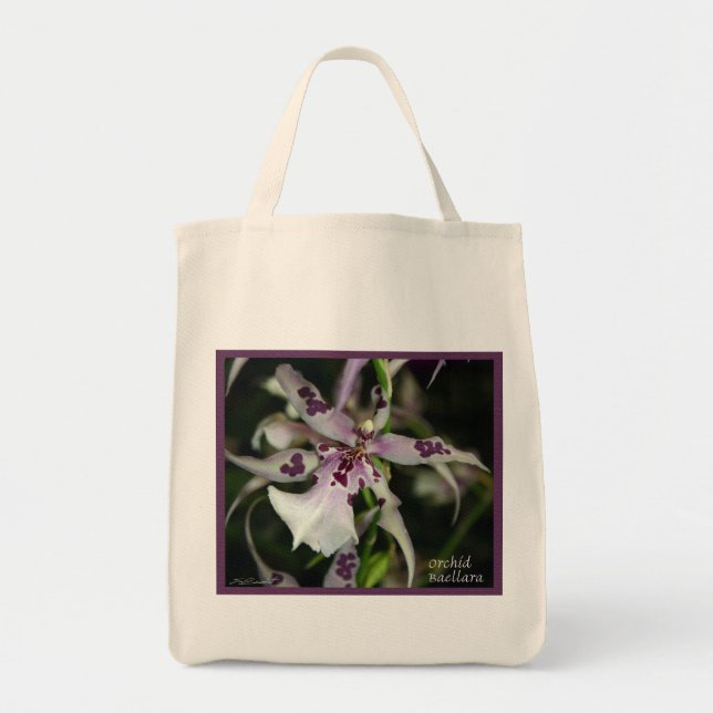 Bolsas de Orchid Beallara (Frente)