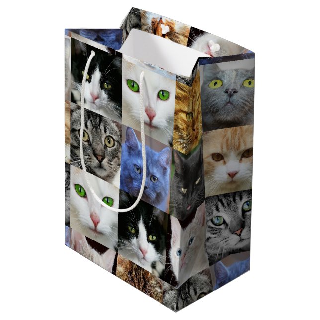 Bolsas de regalo de papel con estampado de gatos (Angulo reverso)