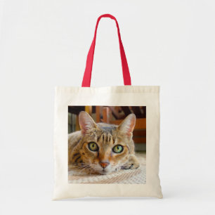 Bolsas de tetas de gato