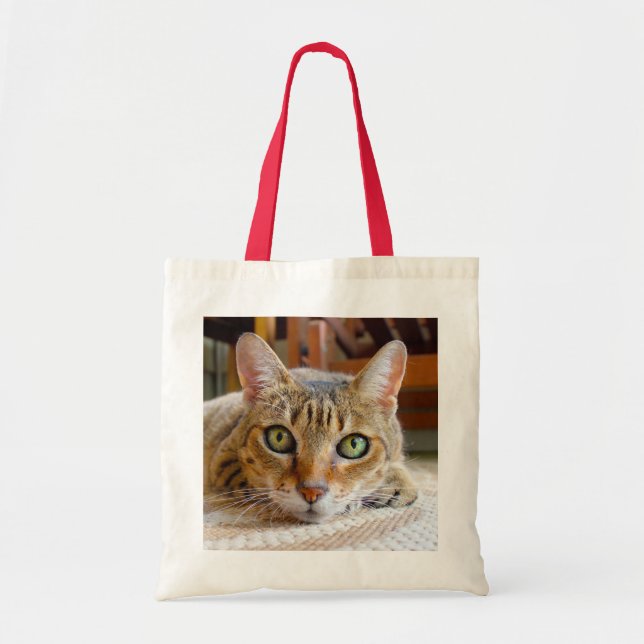 Bolsas de tetas de gato (Frente)