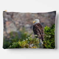 Águila calva sentada en la roca