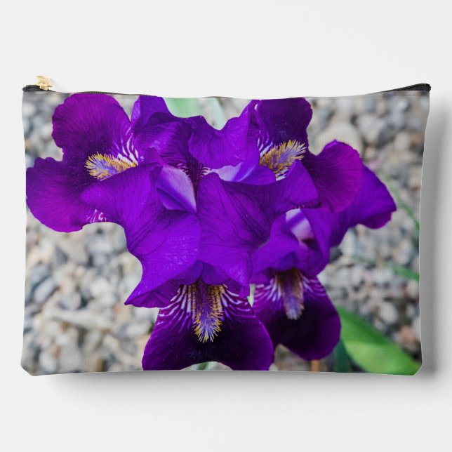 Bolsito Accesorio Grande Hermoso iris morado (Anverso)