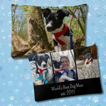 La mejor foto de mamá de perro del mundo