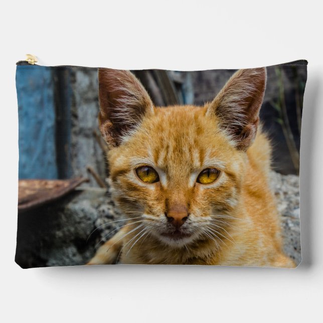 Bolsito Accesorio Grande Ojos dorados (Anverso)