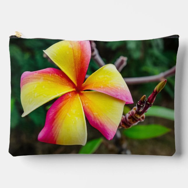 Bolsito Accesorio Grande Plumeria rubra (Anverso)
