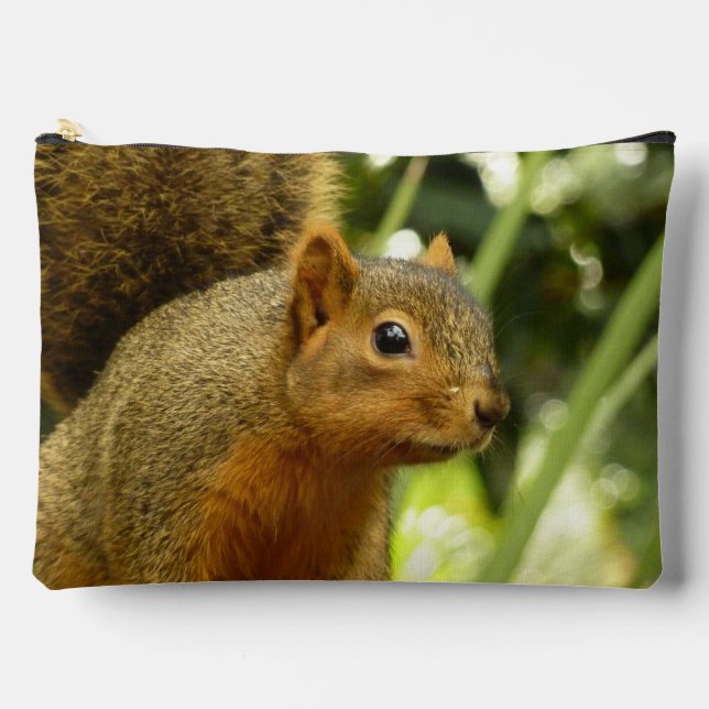 Bolsito Accesorio Grande Portrait of a Squirrel Nature Animal Photography (Anverso)