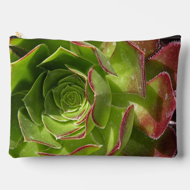 Bolsito Accesorio Grande Verde (Anverso)