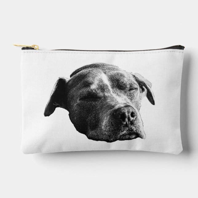 Bolsito Accesorio Pequeño Neat Shade Pouch (Anverso)