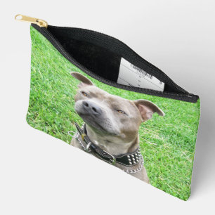 Bolsito Accesorio Pequeño Sentado de Malé adulto Staffordshire Bull Terrier,