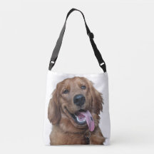 Adorable Golden Retriever | Fotografía Original de