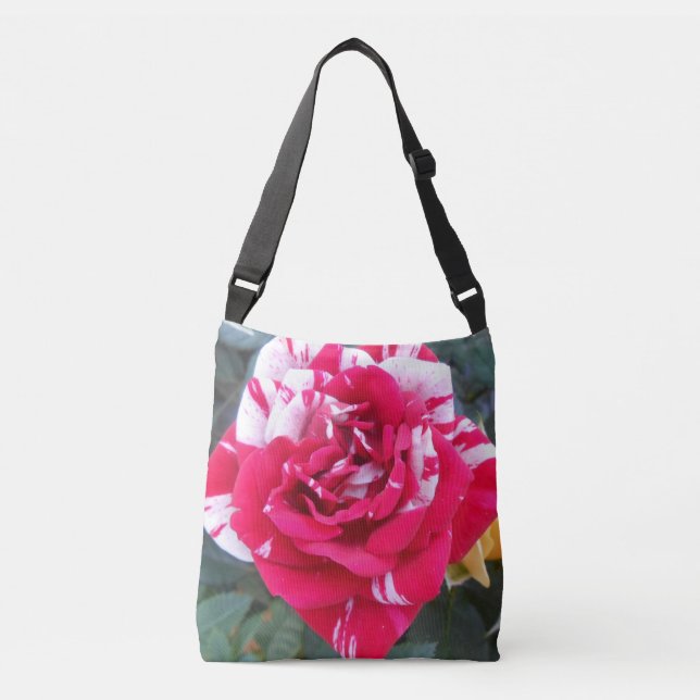 Bolso Cruzado Anicia (Anverso)