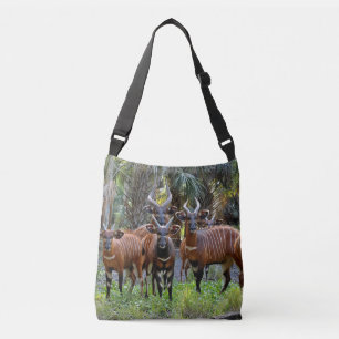 Bolso Cruzado Bongo Crossbody Bag