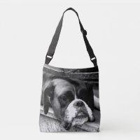 Boxer Dog en Windowsill bagcb arco2