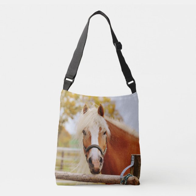 Bolso Cruzado Caballo en la puerta (Anverso)
