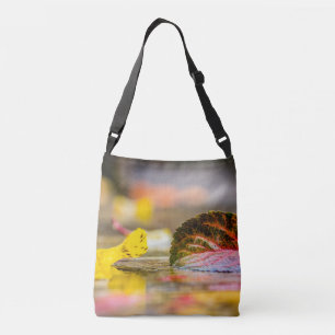 Bolso Cruzado Colores de caída
