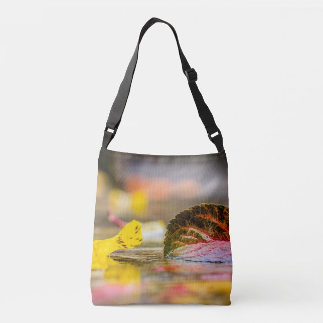 Bolso Cruzado Colores de caída (Reverso)
