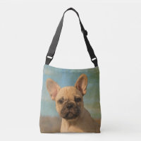 Foto linda del retrato del perro de perrito del